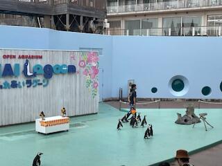 IMG_5796.jpg