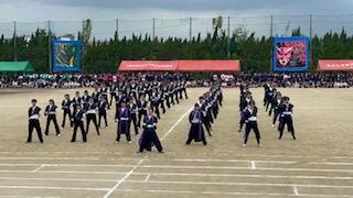 thumbnail_IMG_4522.jpg