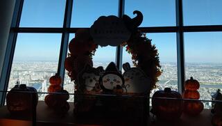 thumbnail_IMG_8428.jpg