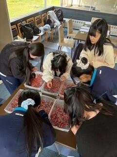 修学旅行2-6.jpg