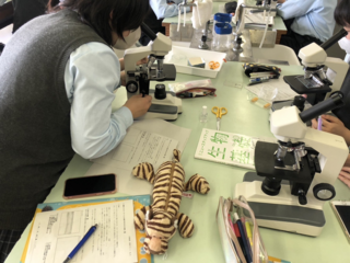 ダウンロード (38).png