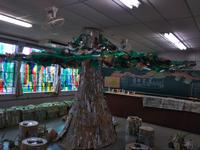 IMG_20201102_092558.jpg