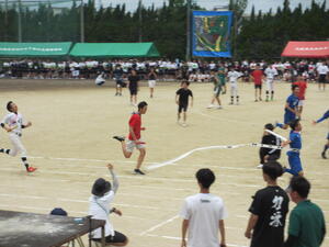 IMG_0660.jpg