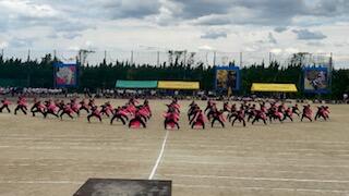 IMG_0396.jpg