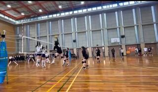 IMG_1133.jpeg