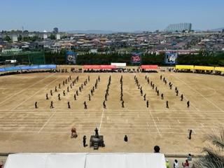 IMG_7281.jpg