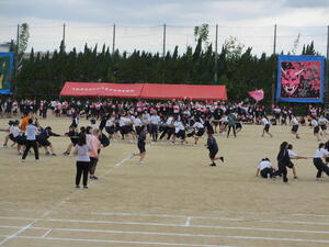 IMG_0678.jpg