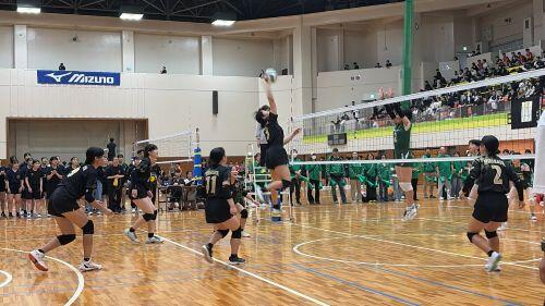 IMG_8575.jpg