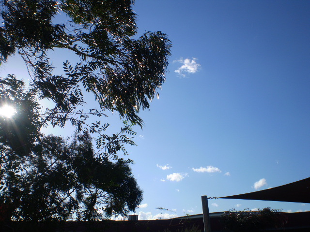 P7310064.JPG