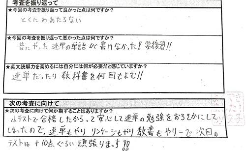 p6.jpg