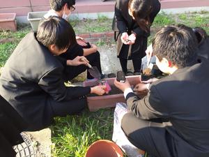1492171302438.jpg