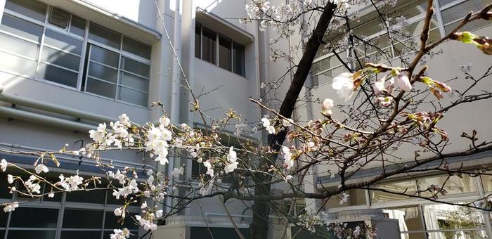 3月26日(火)牧野高校第44期生の第2回合格者登校