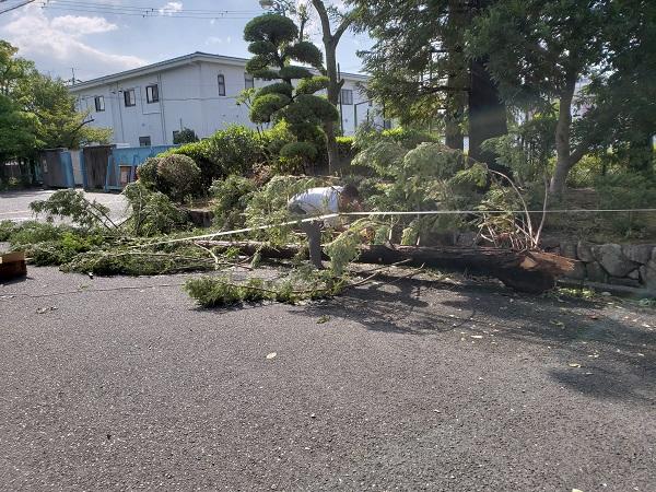 9月5日(水) 台風21号の爪あと~牧野高校は大丈夫です~