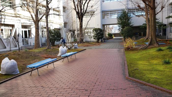 1月6日(月)朝から技師さんが中庭の落ち葉を片付けてくれています。