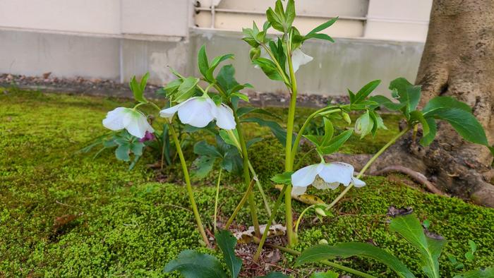 3月9日(火)令和3年度大阪府立牧野高等学校 入学者選抜 学力試験が無事に終了しました。