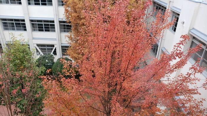11月29日（金）昼休みに吹奏楽部の生徒が校長室に来訪しました〜令和2年3月24日（火）に定期演奏会開催