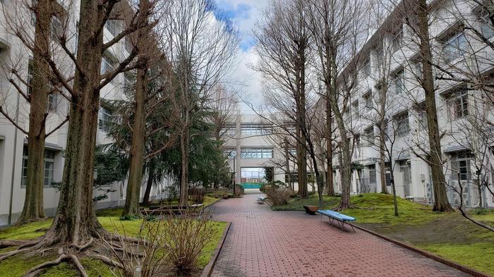 2月28日(金)体育館は卒業証書授与式の準備を整えました。