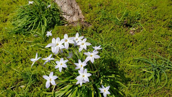 3月19日(木) 午後から合格者説明会を行いました。