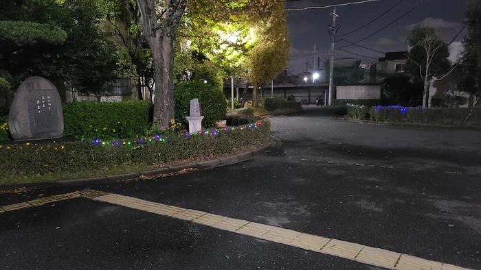 11月12日(金)正門正面に光のデコレーションを施しています。