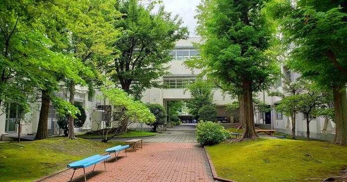 7月22日(月)中庭は夏景色