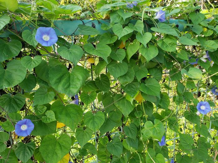 7月12日(金)今年度 第1回 職員人権研修を実施