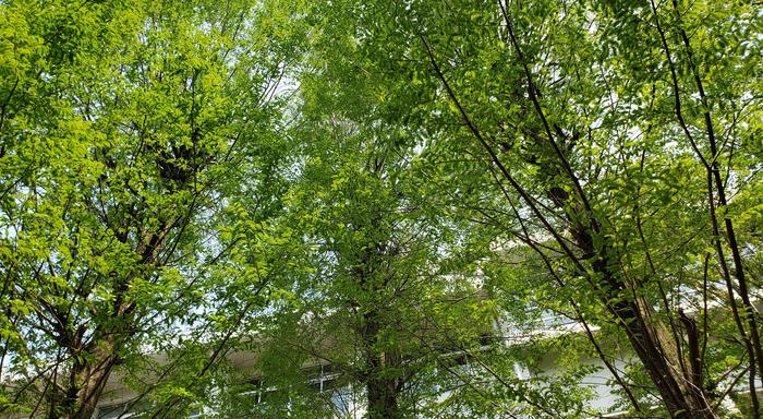 4月17日(金)今日の先生方の在宅勤務は25名になりました。