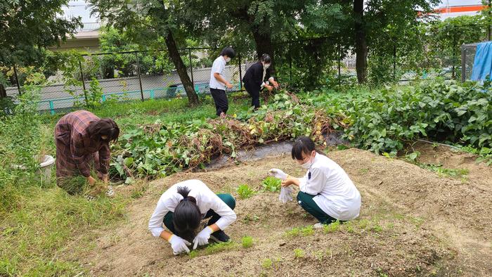 10月7日(水)昼休みに園芸同好会の活動を見に行きました。