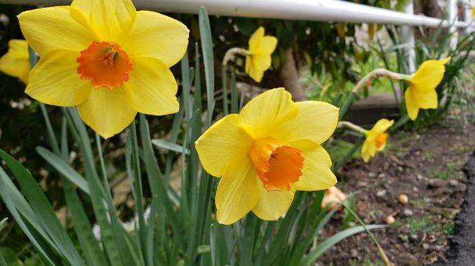 4月1日（水）新年度が始まりました〜12名の新たな先生方が着任されました。