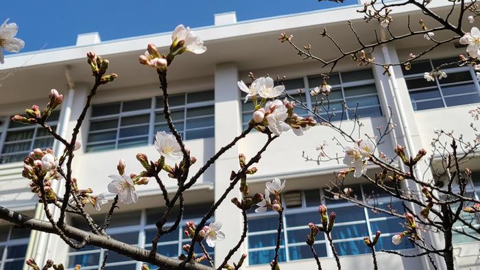 3月18日（木） 午後に合格者説明会を行っています。