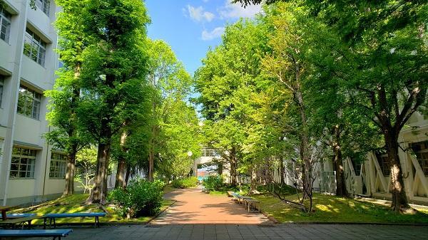 5月7日（火）10連休明けの牧野高校の朝～校内には爽やかな風が吹き抜けています。