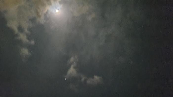 3月22日(月)第44期修学旅行第1日 夕食の後はホテルのプライベートビーチで星空観察