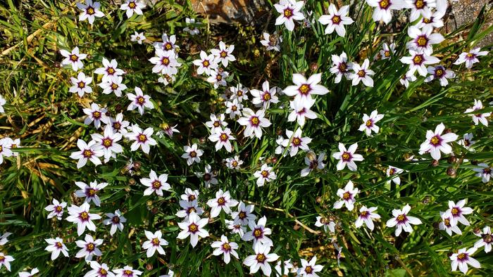5月14日(火)1限目に研究授業を実施しました