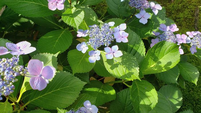 6月15日(月)いよいよ3学年揃っての通常学校生活が始まりました。