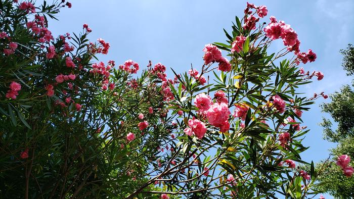 8月20日(木)午後、3年生は外部模擬試験受験2日目