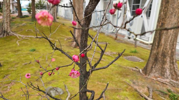 1月15日(金)大学入試共通テスト第1日目です。