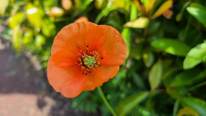 4月25日(日)生徒の皆さん、保護者の皆さまへ ~ 明日4月26日(月)から28日(水)まで学校臨時休業(学校閉鎖)になります。