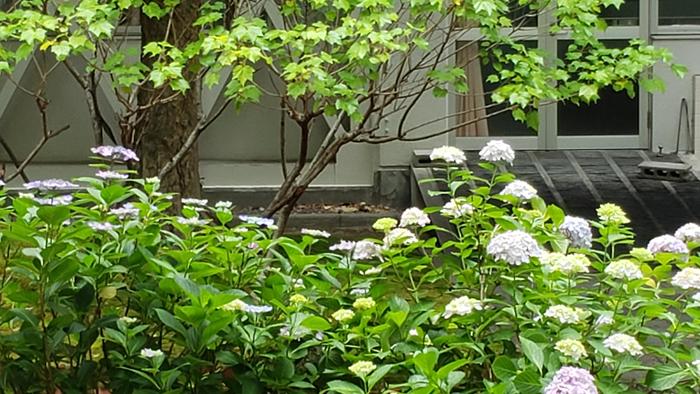 6月10日(月)教育実習生の研究授業を見学~政治経済~