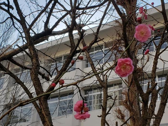 1月22日(火)夜に校長室で同窓会役員の方と話し合い~同窓会組織の充実に向けて~