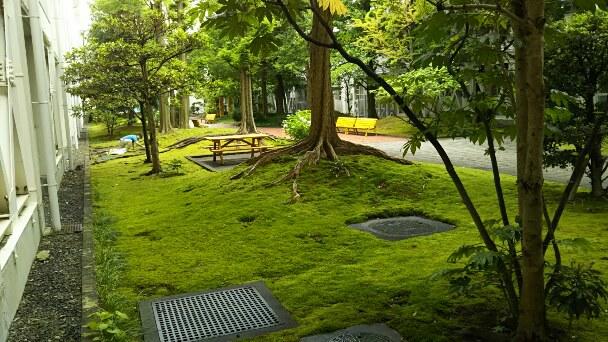 7月6日(金) 本日の期末考査開始時間の30分繰り延べについて