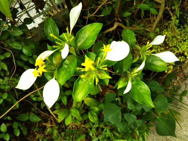 7月6日(金) 本日の期末考査は無事に終えました。生徒は2時完全下校です。