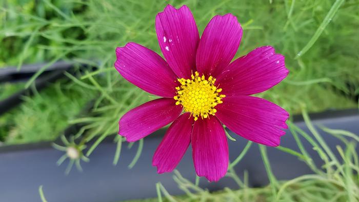 7月21日（火）いよいよ一学期末考査最終日 有終の美を飾れ！
