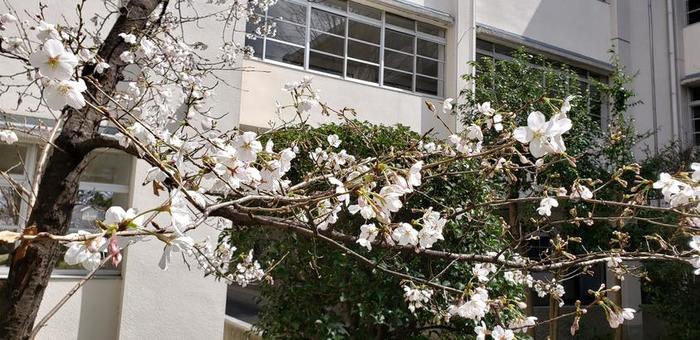 大阪府立牧野高等学校 部活動に係る活動方針について