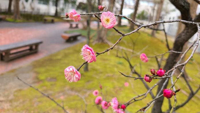 1月22日(土)第3回「英検(実用英語技能検定)」を校内で実施しています。