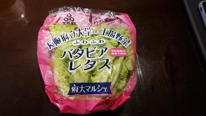 7月6日(土)大阪府立大学の植物工場の講義を受講~「くらしの中の持続可能性」連続セミナー