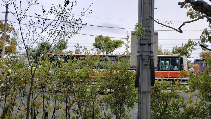 4月19日(金)今日はExcursions Day~全員が無事に帰着しました~