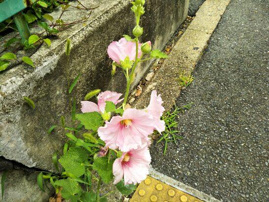 7月21日(土) 第1学期終業式を校内放送で実施