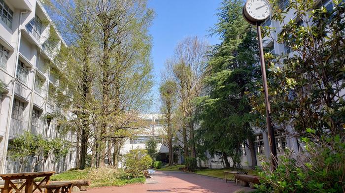 【緊急連絡】登校日は、当面の間は実施しません。