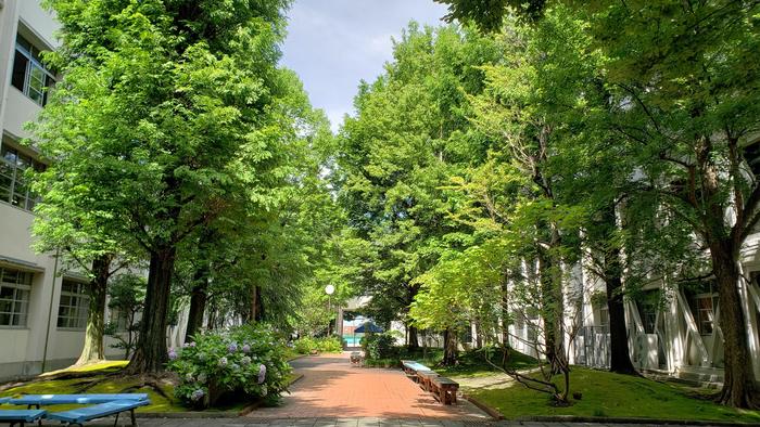7月16日(木)一学期末考査2日目。
