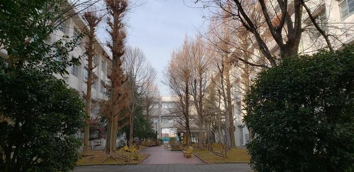 1月8日(月)平成30年度 第3学期始業式を実施