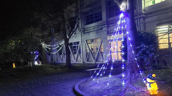 11月21日(土)PTAの役員の皆さんによる牧野高校中庭イルミネーションが完成